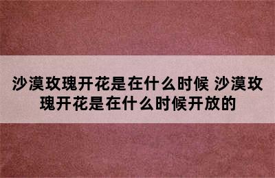 沙漠玫瑰开花是在什么时候 沙漠玫瑰开花是在什么时候开放的